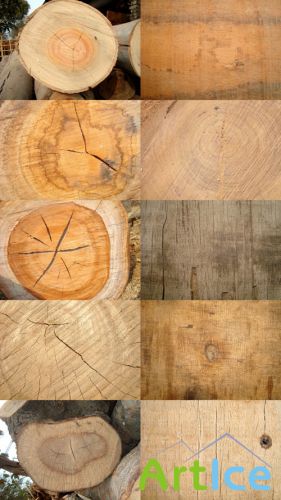 Wooden Texture Slices JPG Files