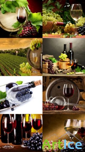 Wallpapers of Vine and Wine JPG Files