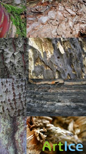 Wood Textures JPG Files