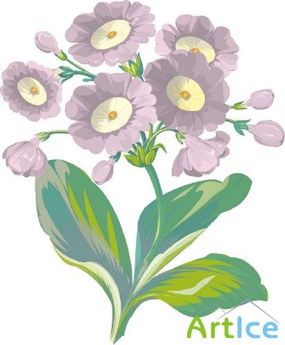 Цветы и растения - векторный клипарт