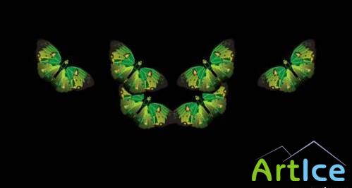 Футаж Анимированные бабочки с альфа каналом