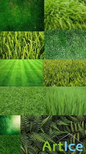 Grass Textures Set 3 JPG Files