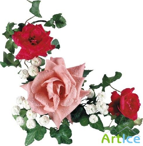 Букеты роз (мега подборка цветов)