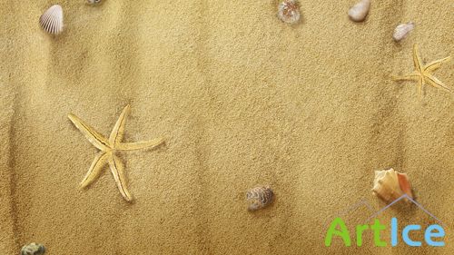 Starfish on Sand PSD