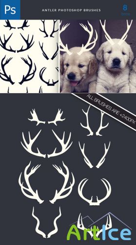 Antlers Photoshop Brushes Pack 1