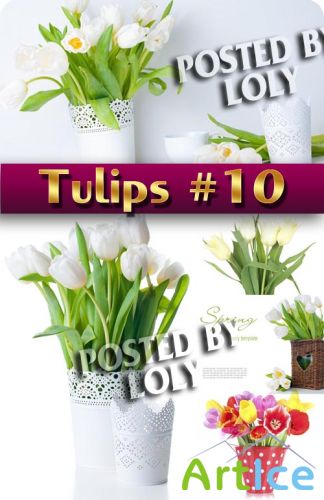 Цветы. Тюльпаны #10 - Растровый клипарт