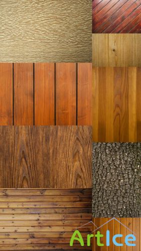 Texture of wood bark JPG Files