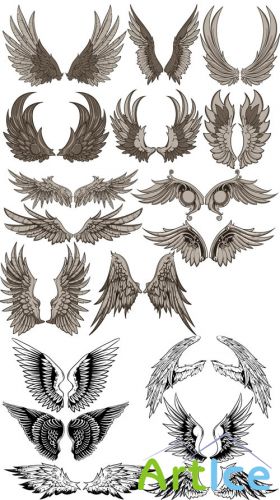 Vector Clipart - Wings Set