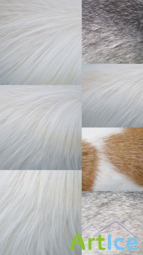 Dog Hair Textures JPG Files