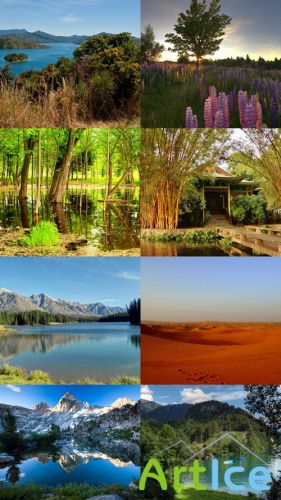 Beautiful Wallpapers of Nature Pack 9
