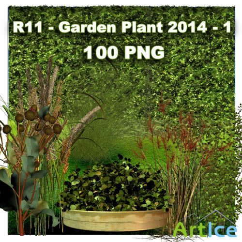 Garden Plant - 1 PNG Files
