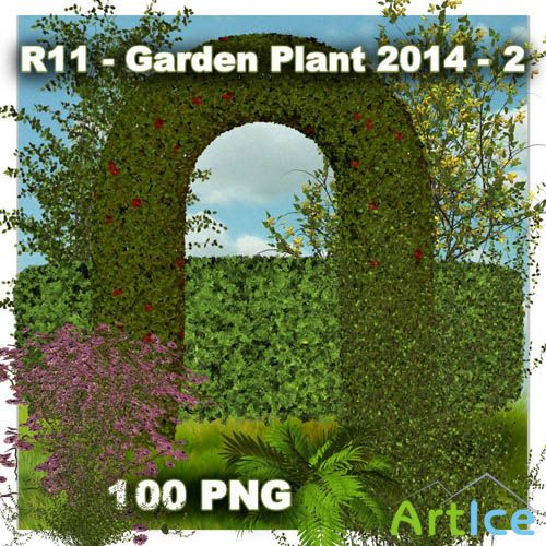 Garden Plant - 2 PNG Files