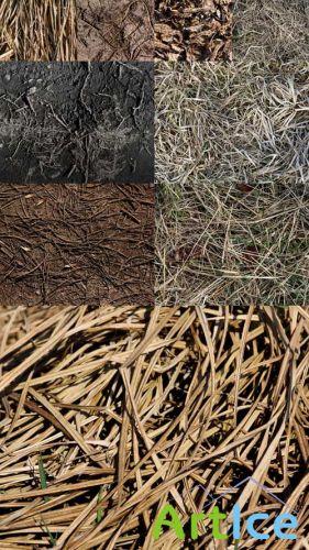 Dry Herb Textures JPG Files