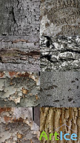 Cortex Tree Textures JPG