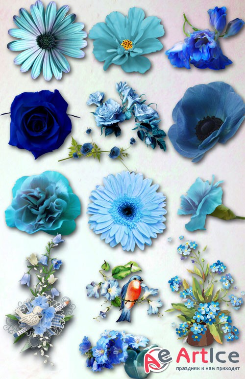 Blue Flowers PNG Files