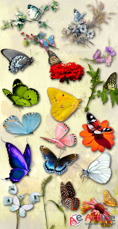 Butterflies and Flowers PNG Files