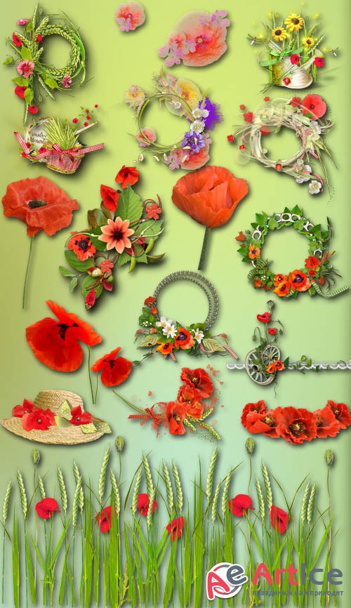 Red Poppies PNG Files