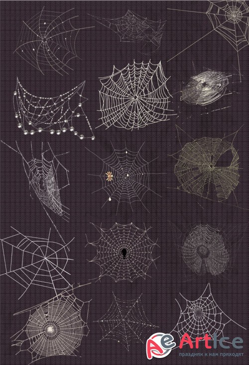 Spider's Web PNG Files