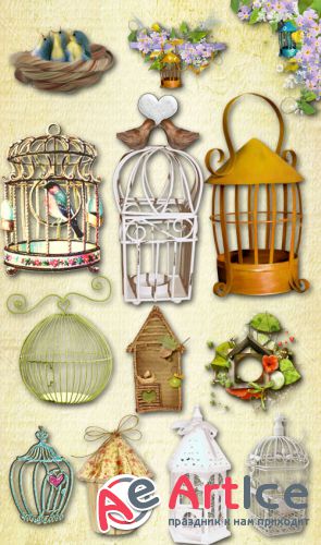 Nests Birdhouses Cells PNG Files