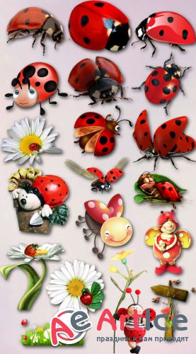 Ladybugs PNG Files