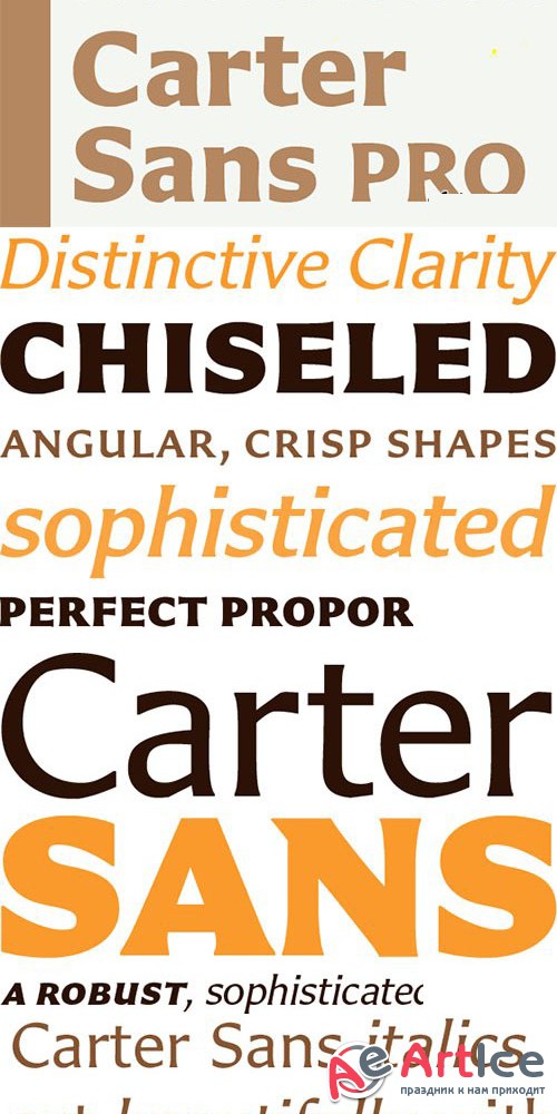 Carter Sans Pro Font Family