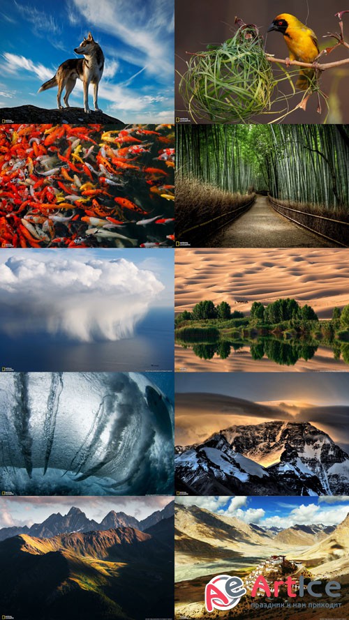 Beautiful Wallpapers of Nature Pack 46
