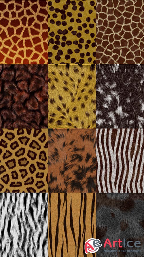 Textures Animal Fur JPG Files