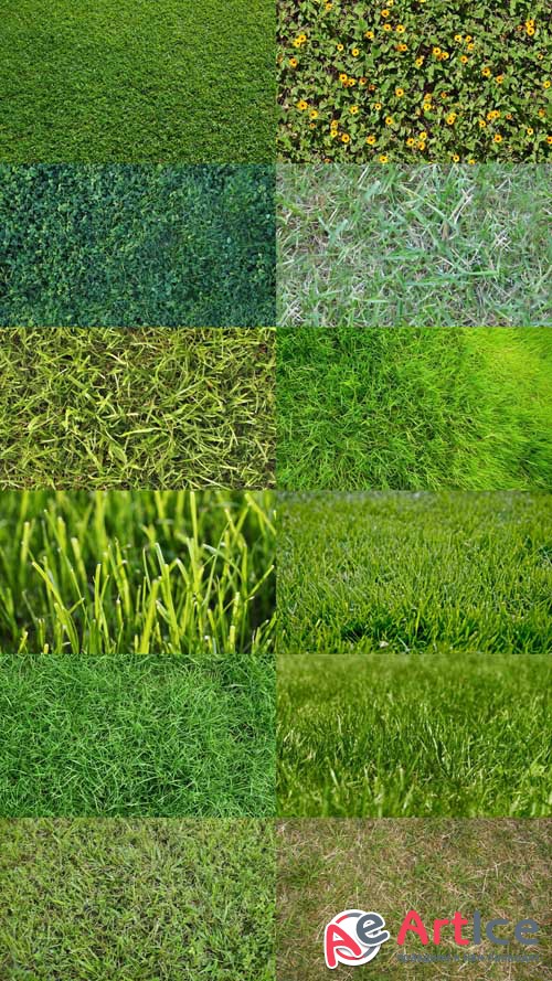Grass Textures Set 5 JPG Files