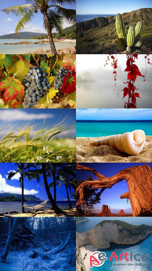 Beautiful Wallpapers of Nature Pack 51