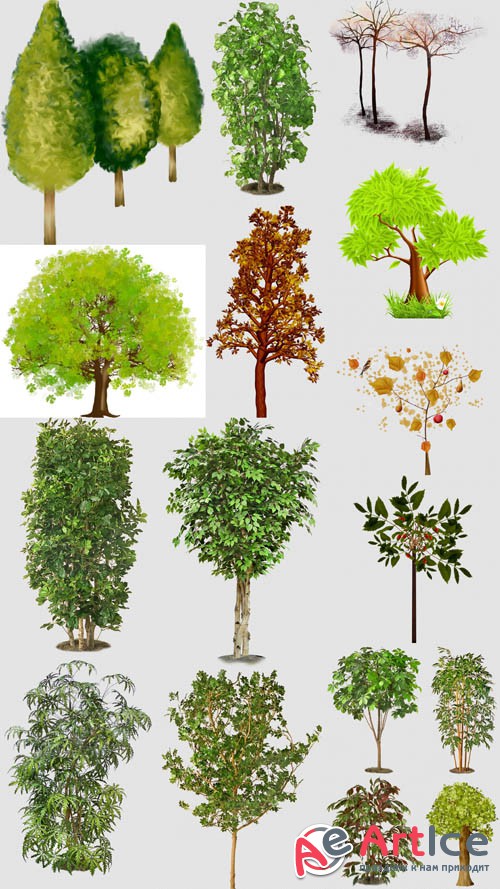 Different Trees on a Transparent Background PNG Files