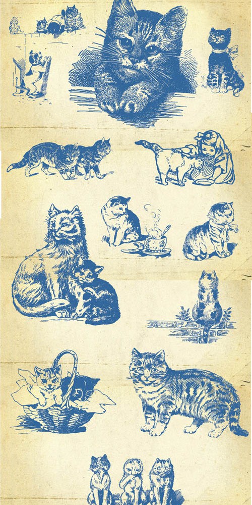 20 Vector Hand Drawn Cats and Kittens