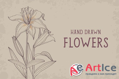 CreativeMarket - Hand drawn flowers set 39652