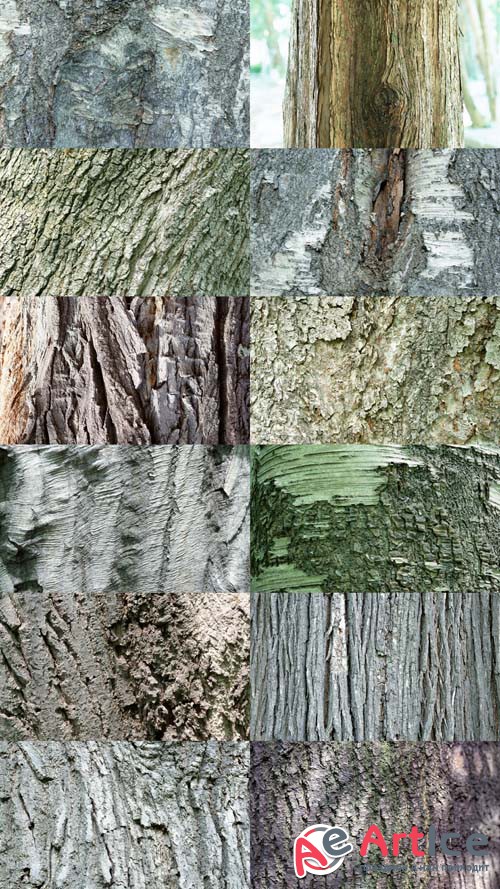 Wood Textures Pack 5 JPG Files