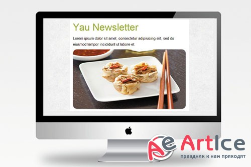 CreativeMarket - Yau Newsletter - Email template 2359