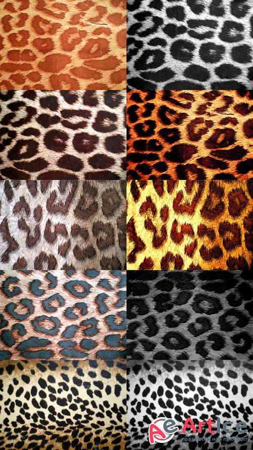 Leopard Print Textures JPG FIles