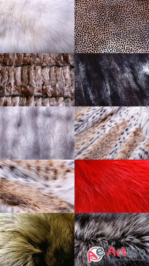 Textures Fur JPG Files