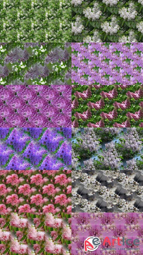 Flowers Textures 2 JPG Files