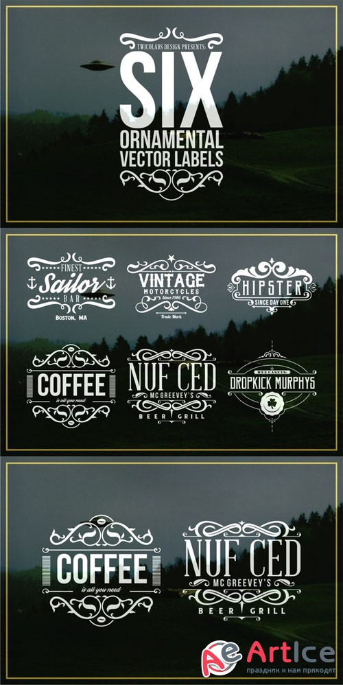CreativeMarket - 6 Ornamental Vector Labels