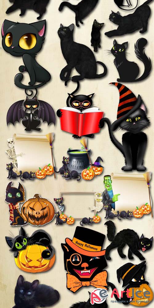 Halloween Witch Cat PNG Files