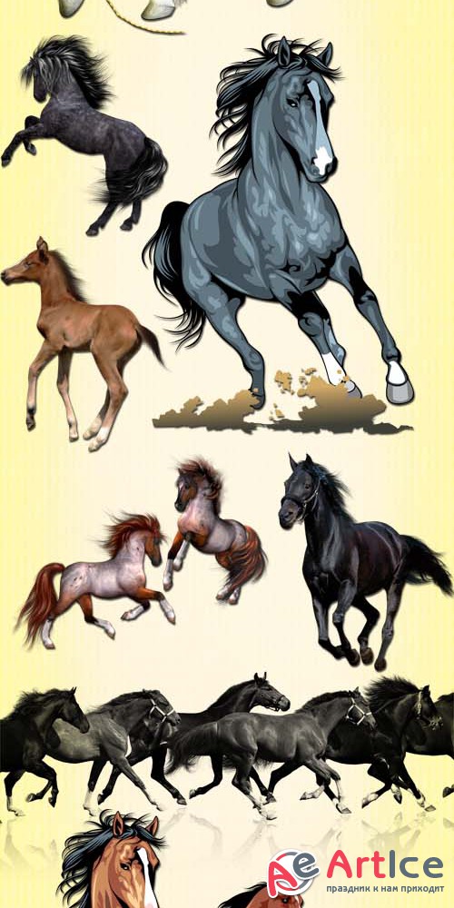 Beautiful Horses PNG Files