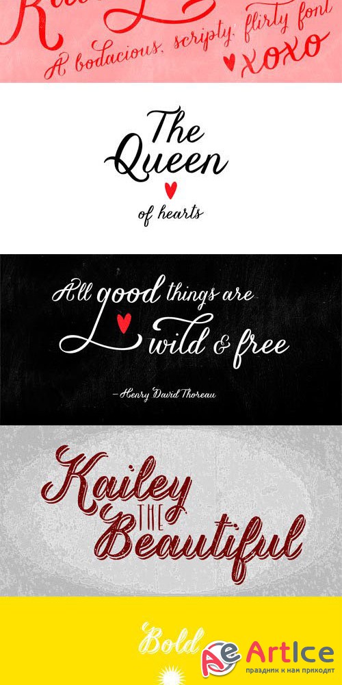 Kailey Force & Kailey Font Family
