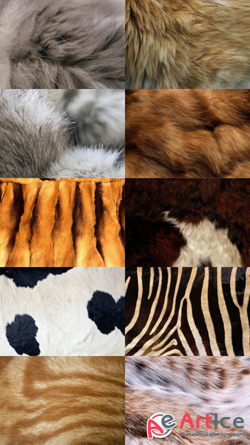 Animal Fur Textures JPG Files