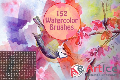 CreativeMarket - 152 Watercolor Brushes