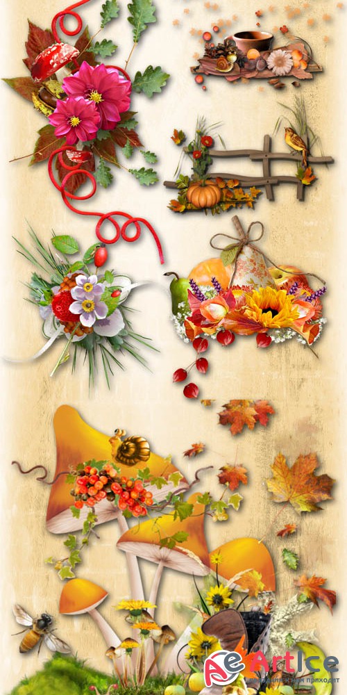 Autumn Decor PNG and JPG
