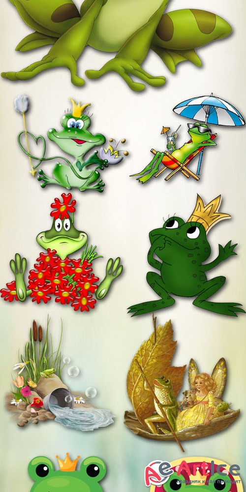 Enchanted Frog PNG