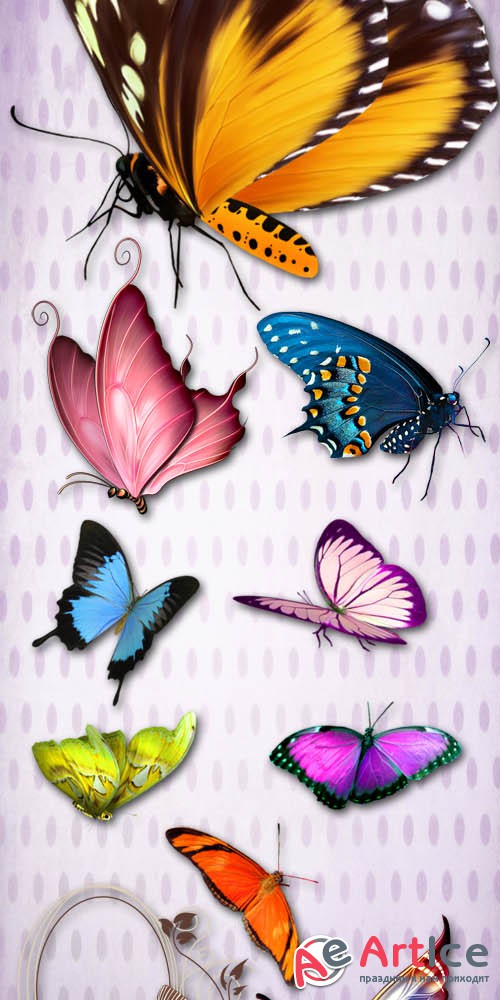 Bright Multi-Colored Butterflies PNG