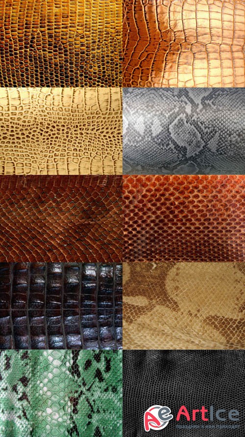 Reptile Skin Textures Set 1 JPG Files