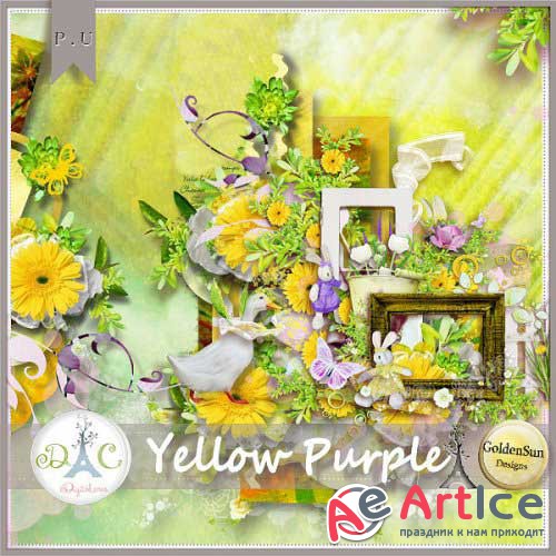  - - Yellow Purple 