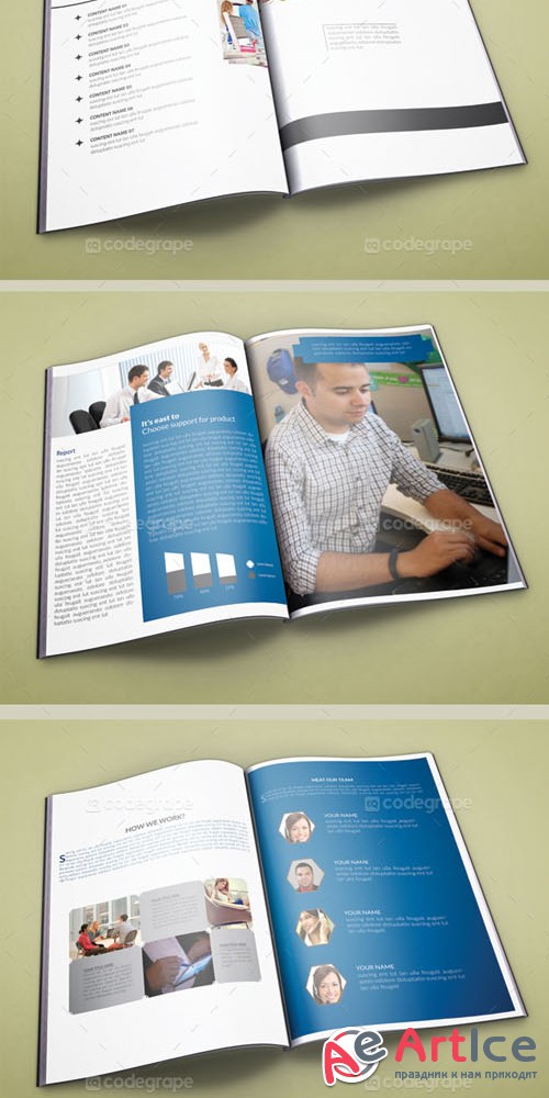 CodeGrape - Corporate Bi Fold Business Brochure 5271