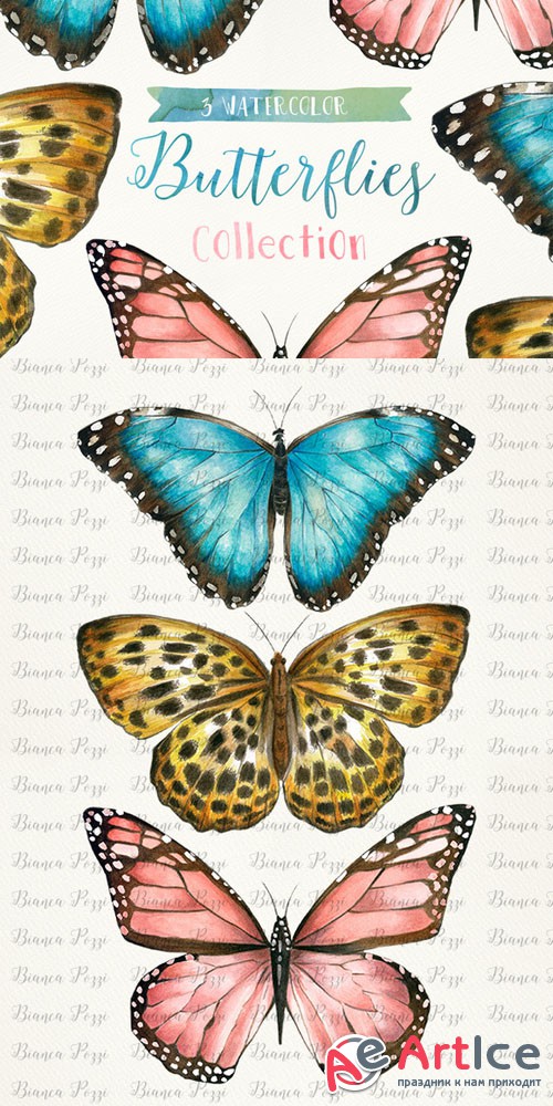 3 Watercolor Butterflies - Creativemarket 198350